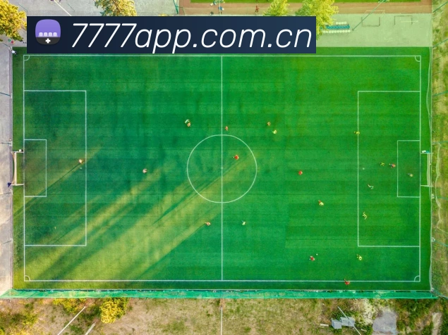 7777体育app下载APP 封面图